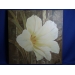 White Lily Canvas Painting by F. de Villeneuve, 27.5 x 27.5 in.